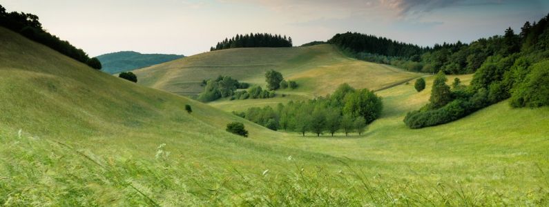 Участок на Севере Подмосковья – преимущества проживания