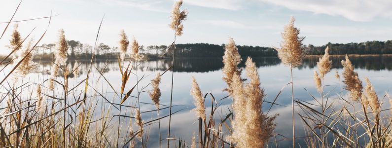 Инвестиционная ценность земельного участка у воды