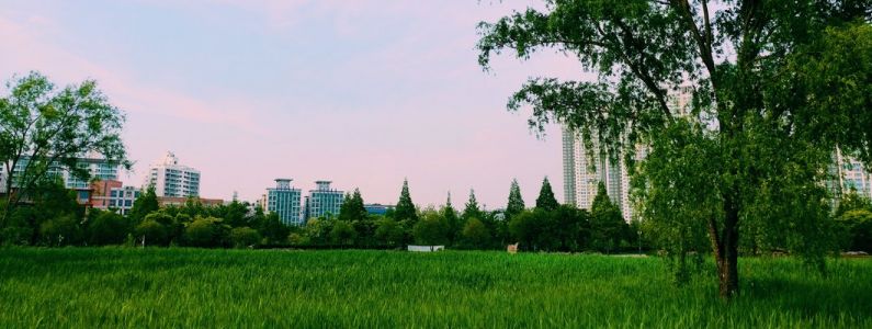 Земельный участок вблизи города Лобня – преимущества